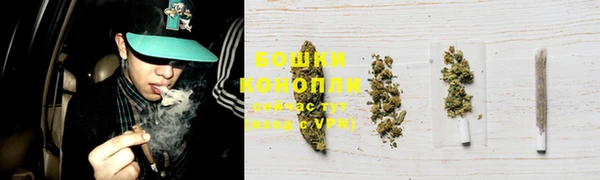 ГАЛЛЮЦИНОГЕННЫЕ ГРИБЫ Беломорск