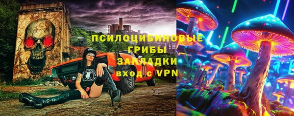 ГАЛЛЮЦИНОГЕННЫЕ ГРИБЫ Беломорск