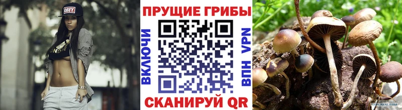 купить наркотики цена  Воркута  Псилоцибиновые грибы Psilocybine cubensis 